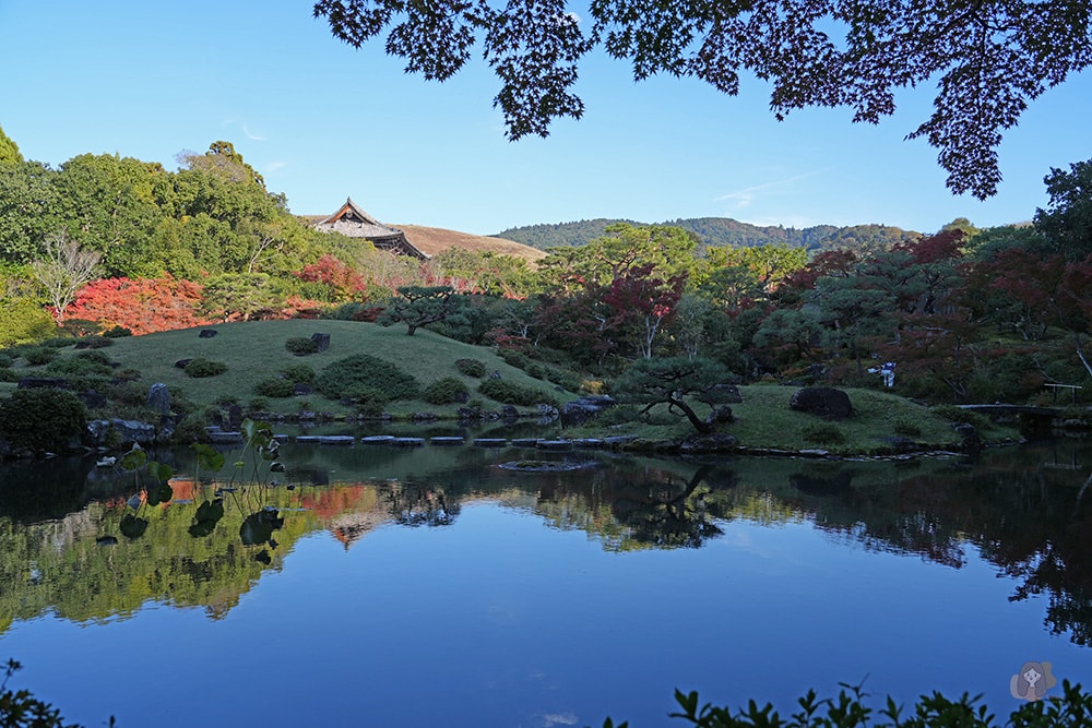 奈良公園-東大寺-浮見堂-依水堂