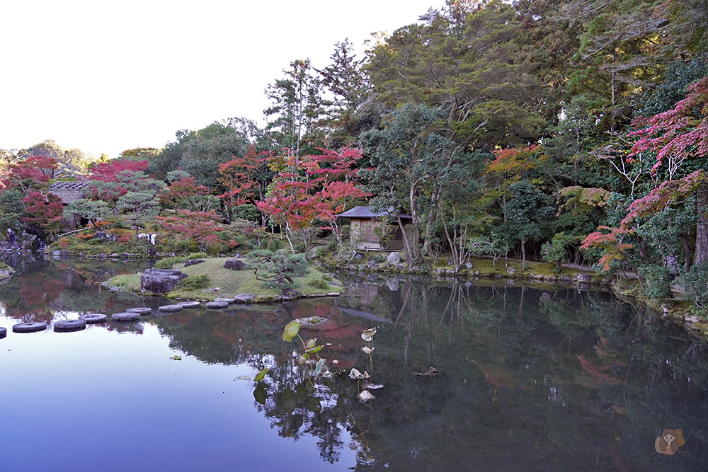 奈良公園-東大寺-浮見堂-依水堂