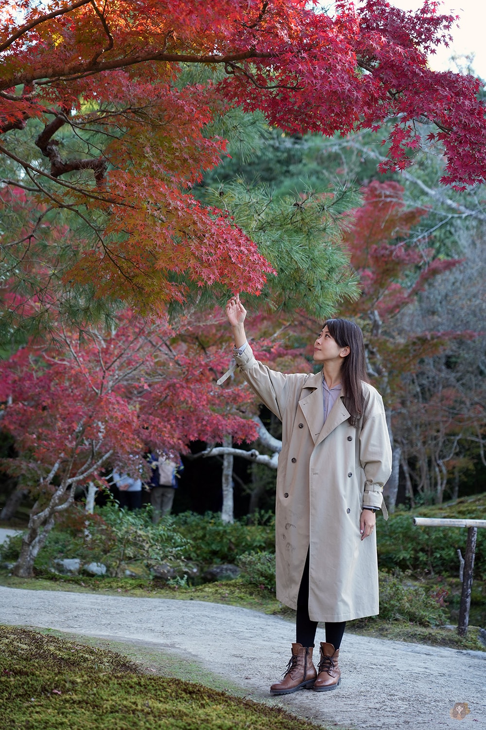 奈良公園-東大寺-浮見堂-依水堂