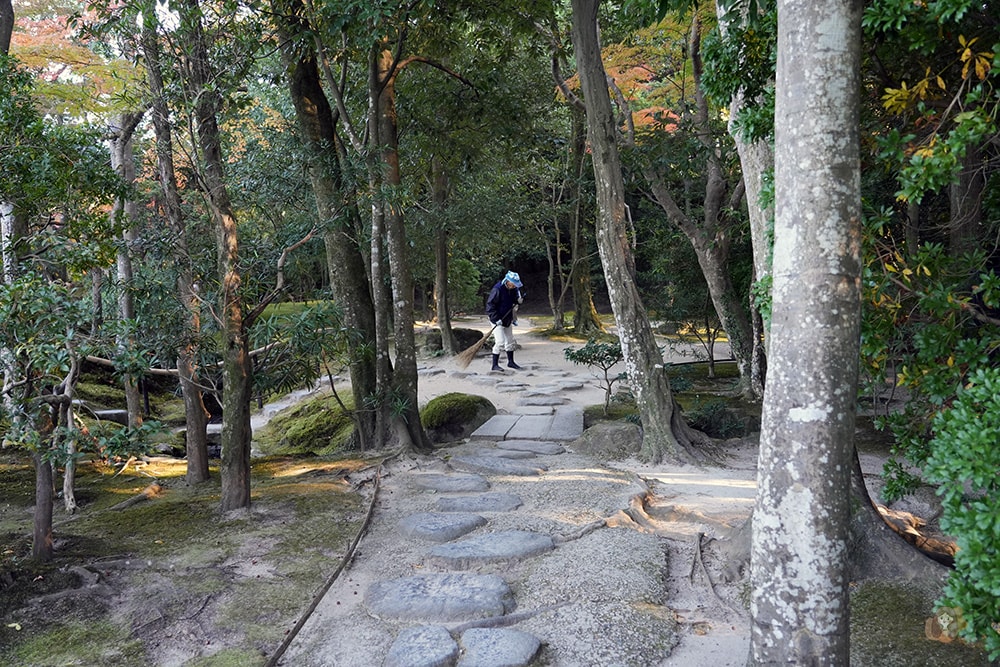 奈良公園-東大寺-浮見堂-依水堂