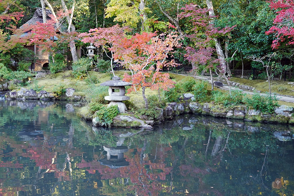 奈良公園-東大寺-浮見堂-依水堂