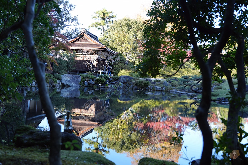 奈良公園-東大寺-浮見堂-依水堂
