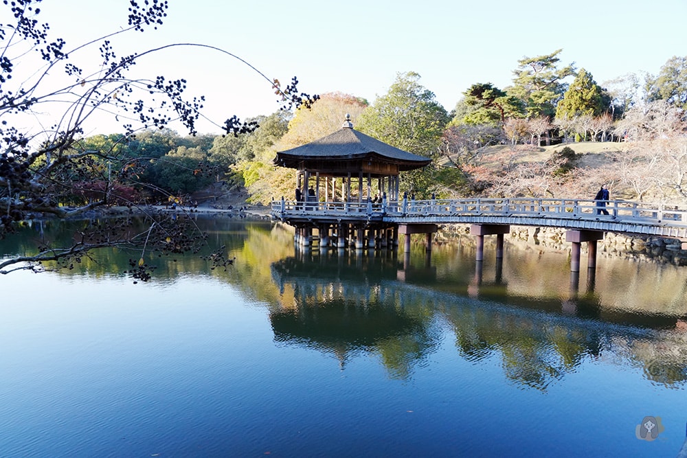 奈良公園-東大寺-浮見堂-依水堂