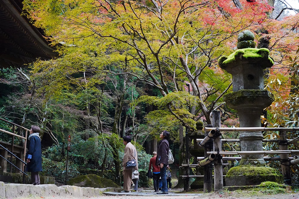 奈良 女人高野 室生寺