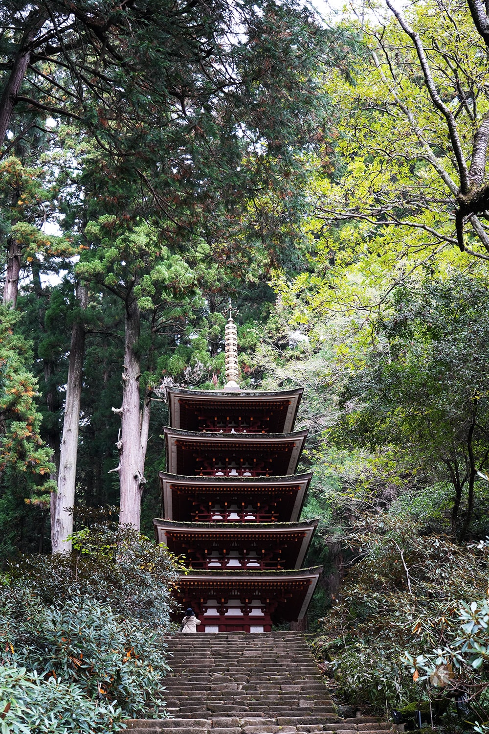 奈良 女人高野 室生寺