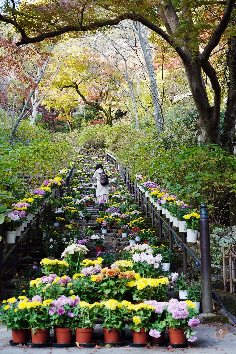 奈良長谷寺