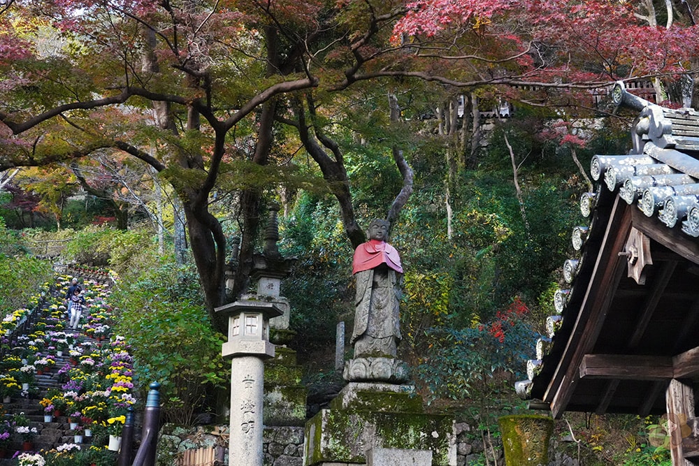 奈良長谷寺