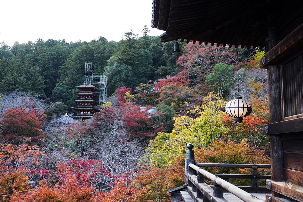 奈良長谷寺