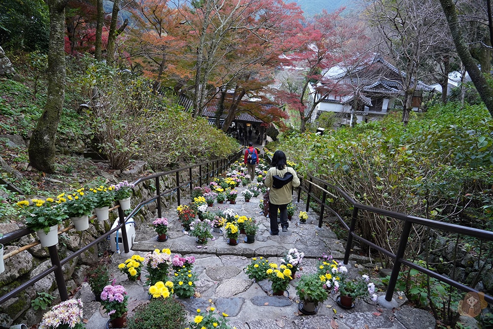 奈良長谷寺