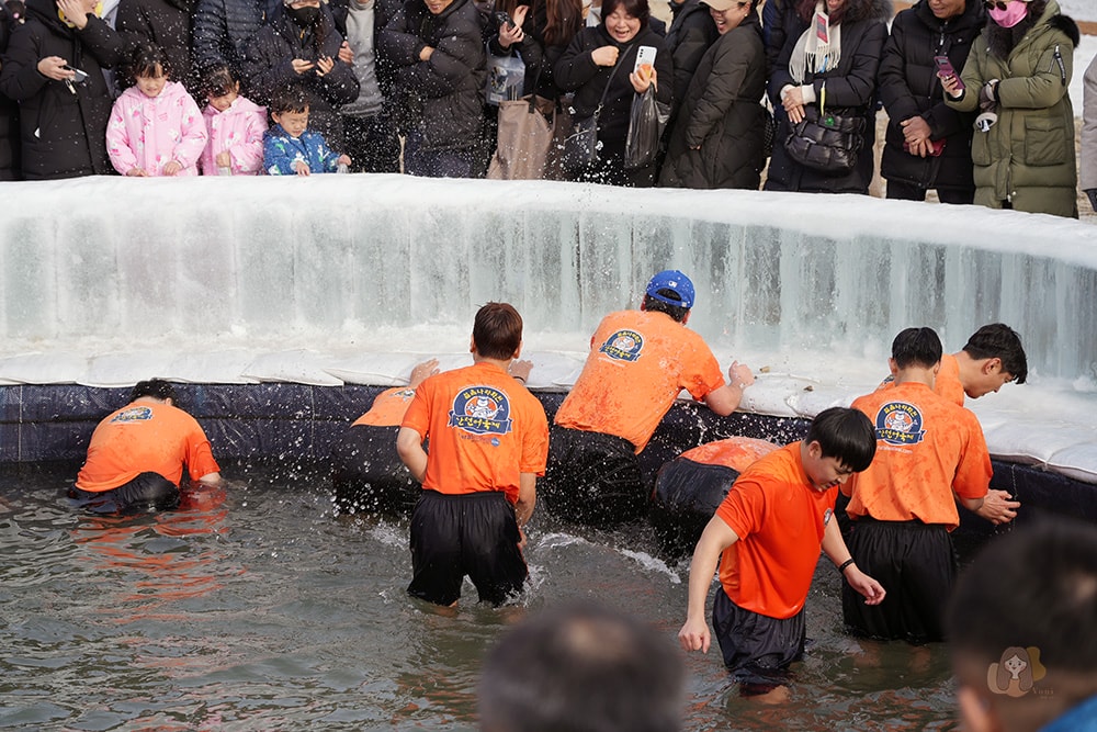 冰雪王國華川山鱒魚節,韓國江原道冬季限定慶典活動,冰釣、烤魚、冰雕、冰上活動及聖誕老人見面會 - 第29張圖 冰雪王國華川山鱒魚節 얼음나라화천산천어축제 空手抓鱒魚