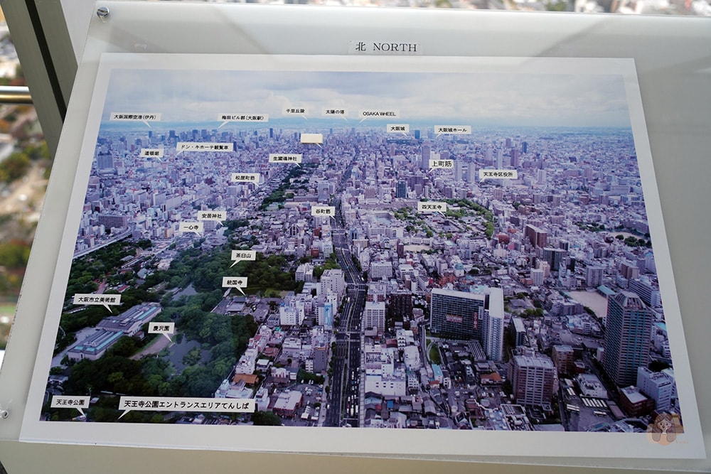 大阪阿倍野-Harukas-300-展望台