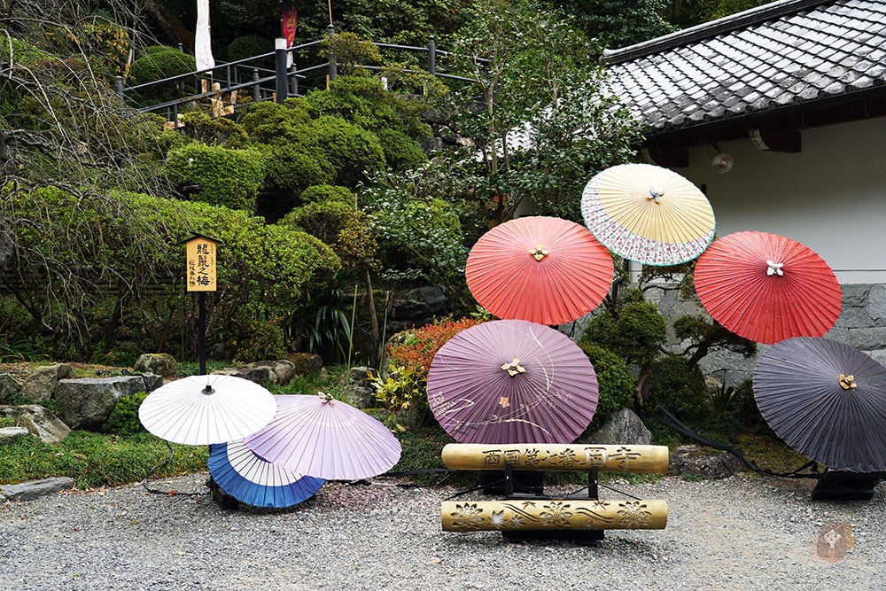 奈良縣飛鳥明日香村岡寺
