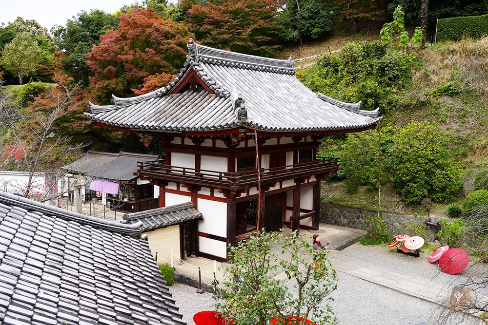 奈良縣飛鳥明日香村岡寺