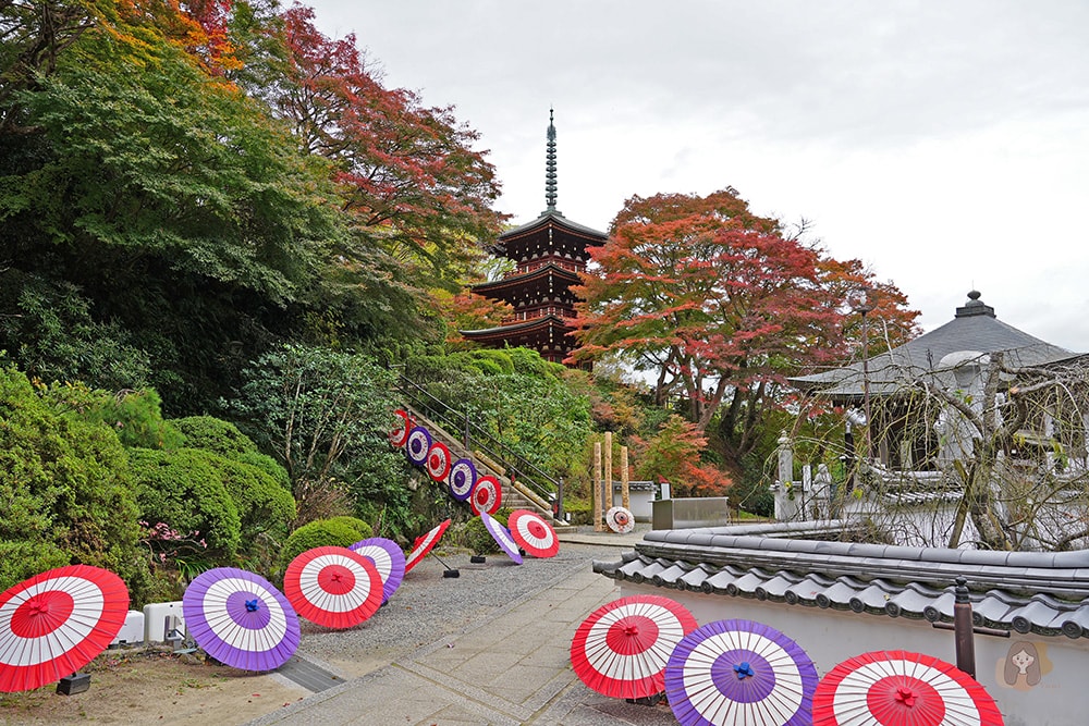奈良縣飛鳥明日香村岡寺