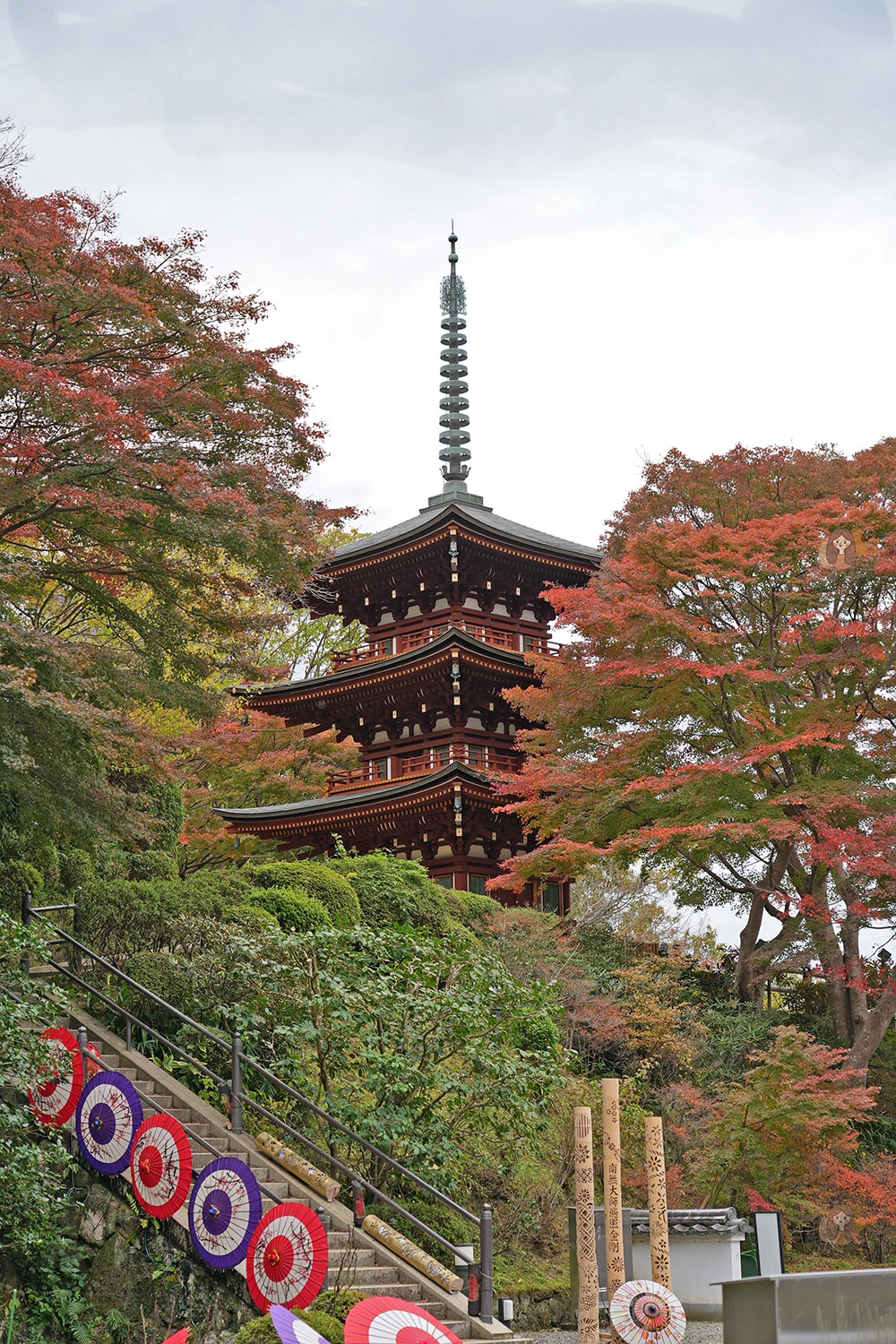 奈良縣飛鳥明日香村岡寺