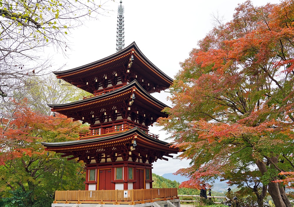 奈良縣飛鳥明日香村岡寺