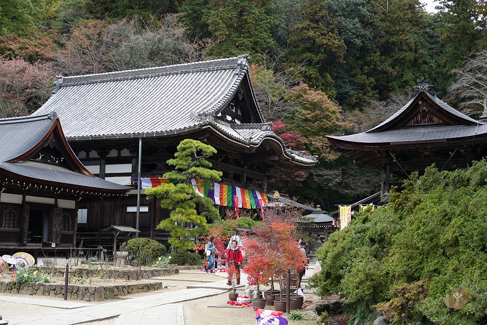 奈良縣飛鳥明日香村岡寺