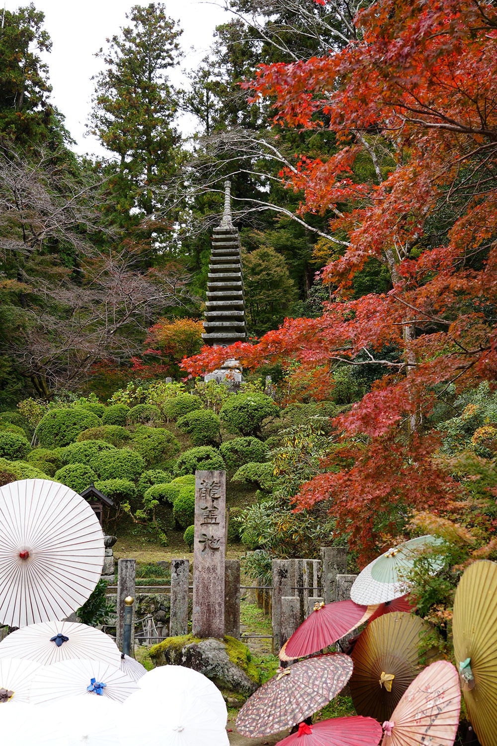 奈良縣飛鳥明日香村岡寺