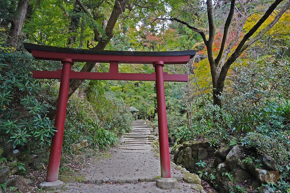奈良縣飛鳥明日香村岡寺