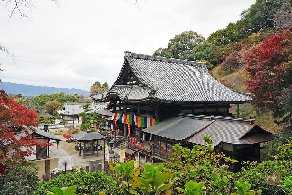 奈良縣飛鳥明日香村岡寺