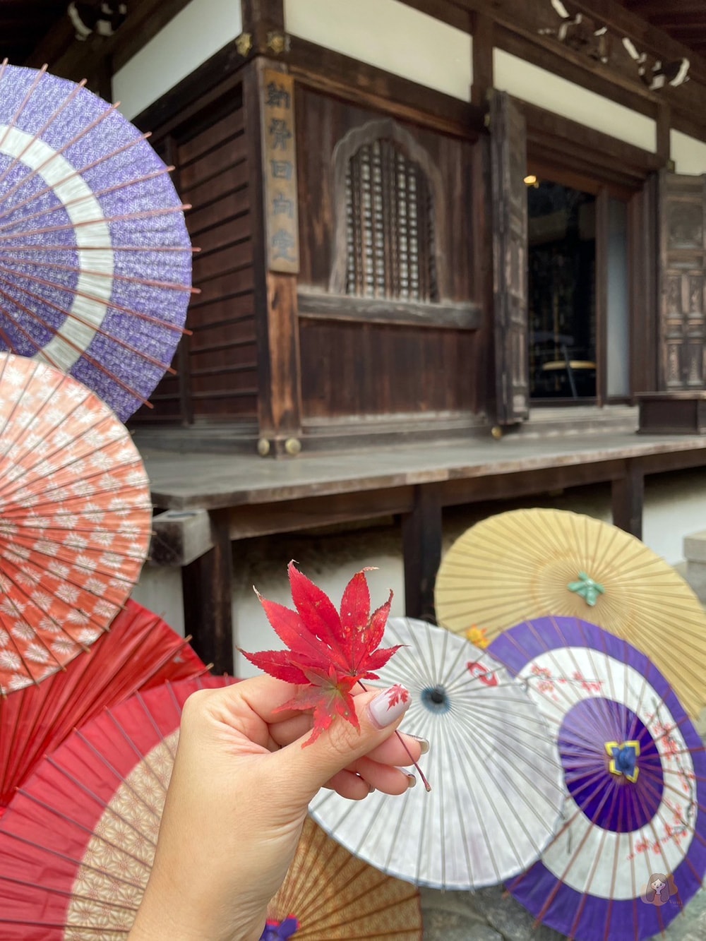 奈良縣飛鳥明日香村岡寺