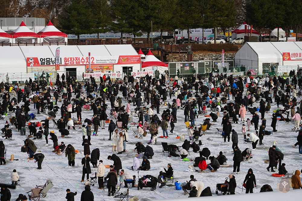 冰雪王國華川山鱒魚節 얼음나라화천산천어축제