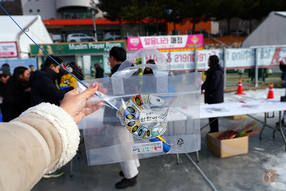 冰雪王國華川山鱒魚節 얼음나라화천산천어축제
