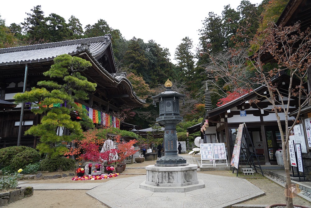 奈良縣飛鳥明日香村岡寺