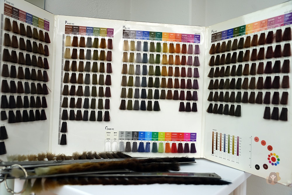 韓國個人色彩鑑定 image HO 弘大、江南,找出最適合自己的色彩,不再買錯衣服彩妝 - 第28張圖 首爾弘大江南-Image-HO-個人色彩鑑定