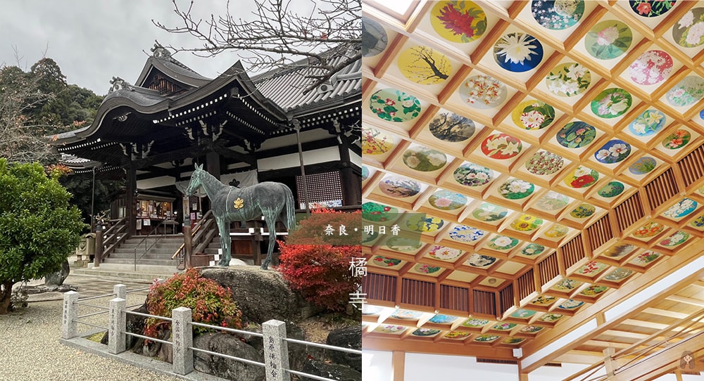 奈良縣飛鳥明日香村橘寺往生院