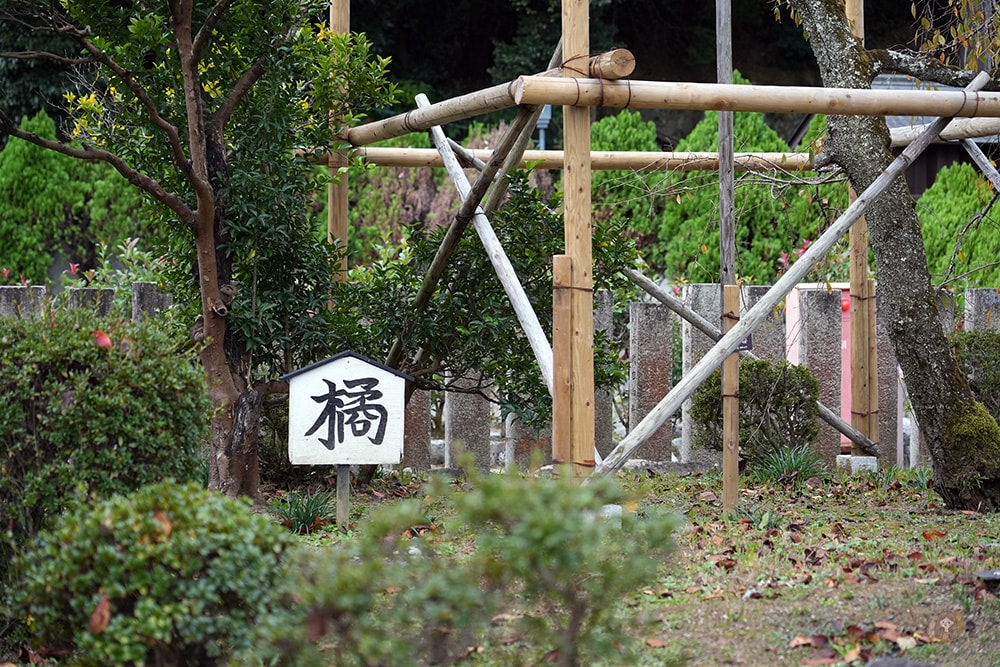 奈良縣飛鳥明日香村橘寺