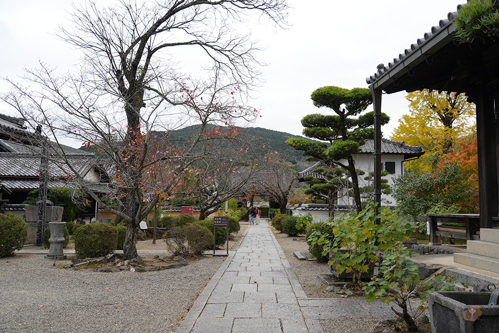 奈良縣飛鳥明日香村橘寺