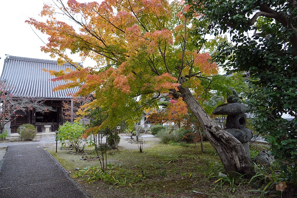 奈良縣飛鳥明日香村橘寺