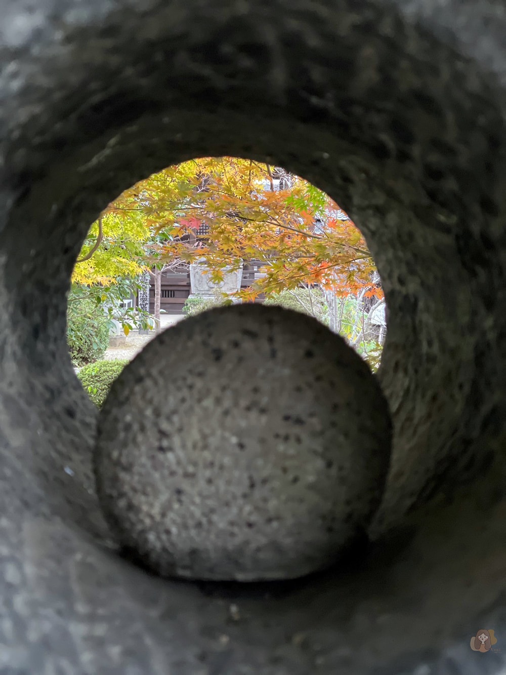 奈良縣飛鳥明日香村橘寺