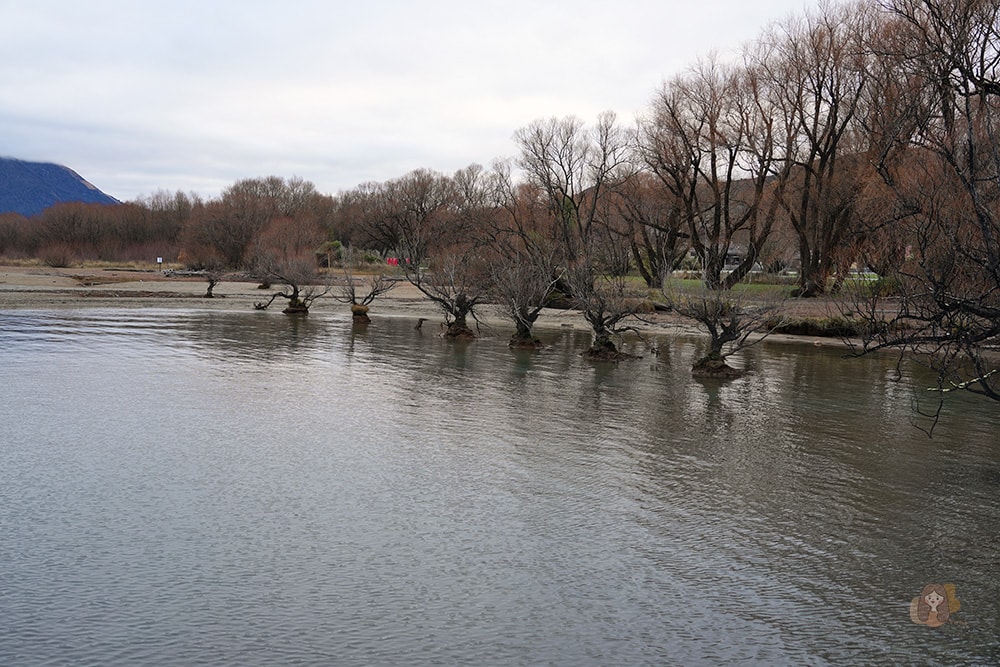 紐西蘭直升機體驗-heli-glenorchy