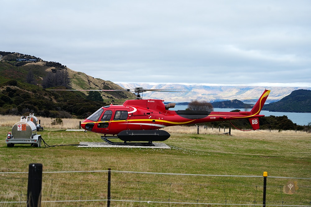 紐西蘭直升機體驗-heli-glenorchy