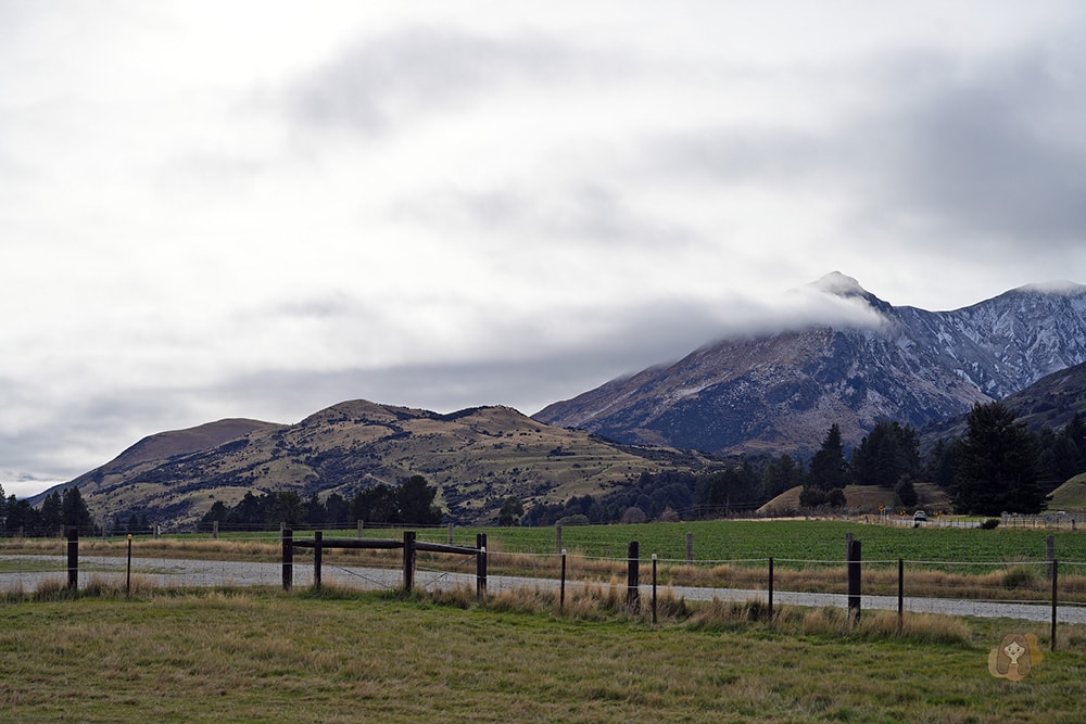 紐西蘭直升機體驗-heli-glenorchy