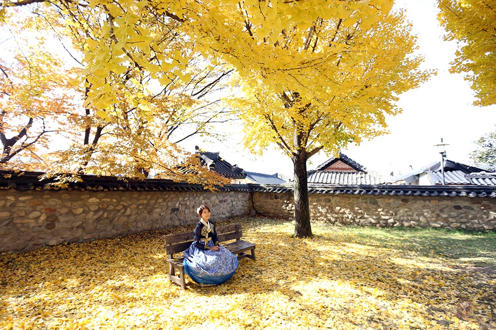 巨將線上外語韓文