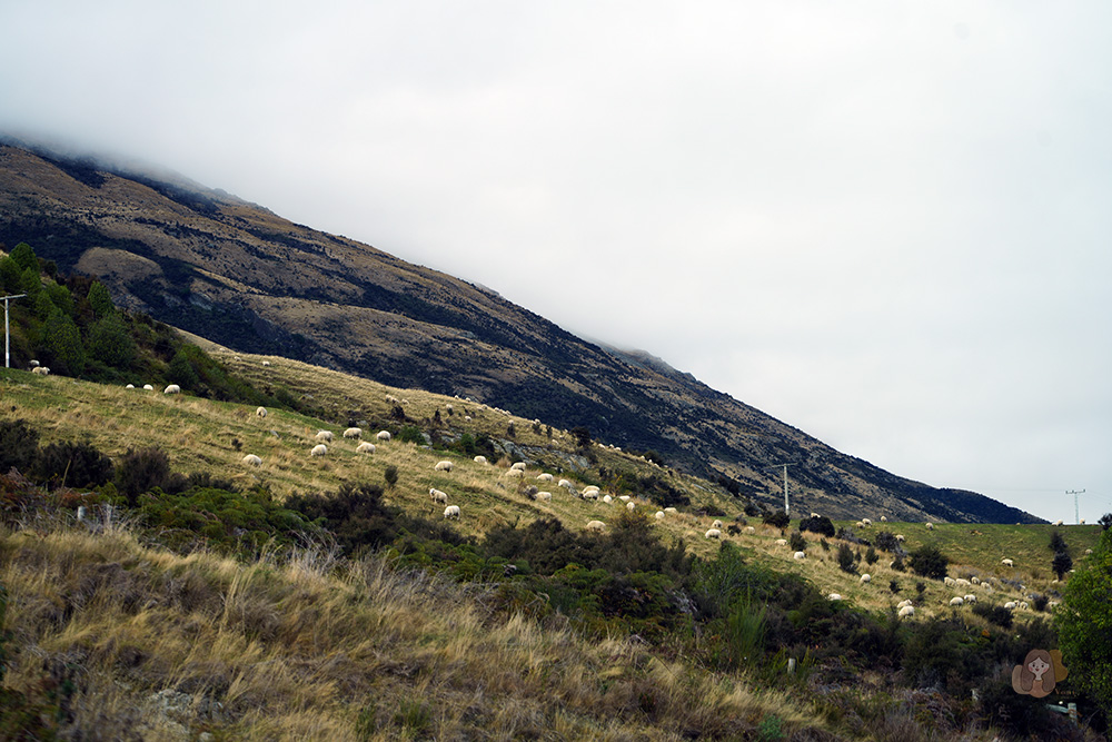Glenorchy-Queenstown Rd