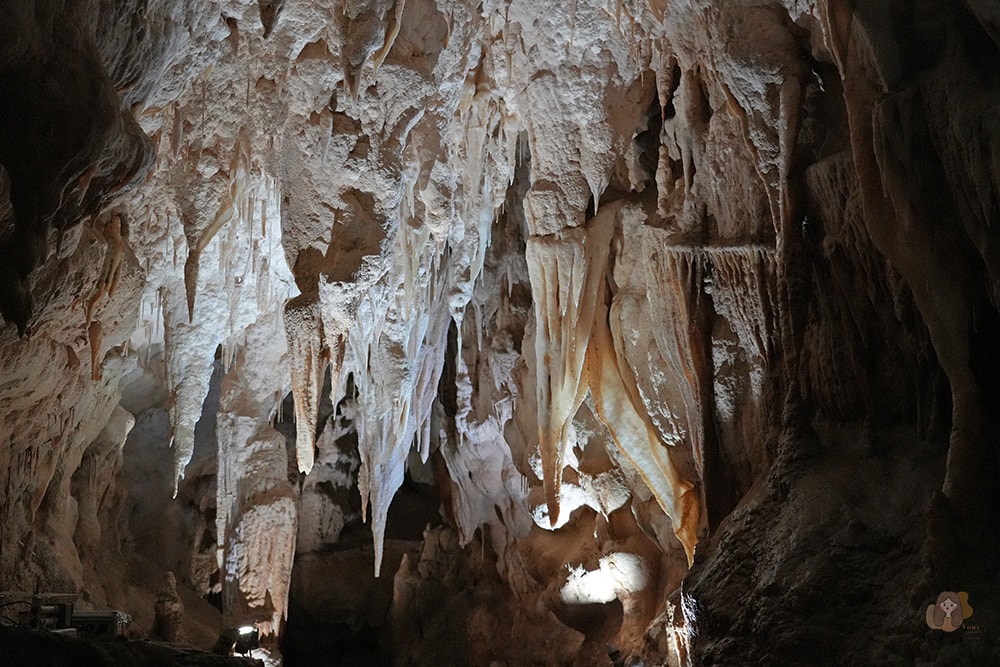 懷托摩洞穴看螢火蟲與鐘乳石洞-紐西蘭-魯阿庫利洞-RUAKURI-CAVE