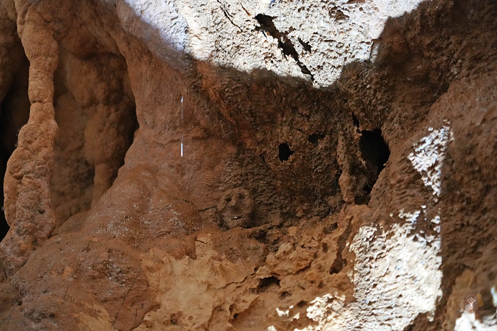 懷托摩洞穴看螢火蟲與鐘乳石洞-紐西蘭-魯阿庫利洞-RUAKURI-CAVE