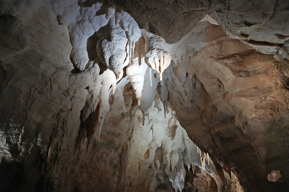 懷托摩洞穴看螢火蟲與鐘乳石洞-紐西蘭-魯阿庫利洞-RUAKURI-CAVE