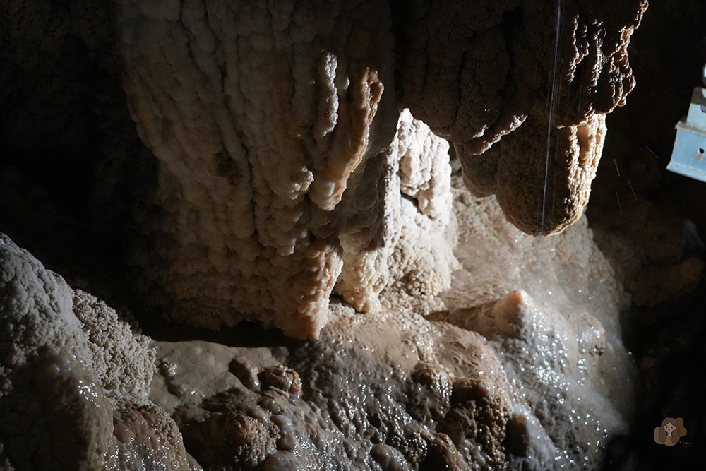 懷托摩洞穴看螢火蟲與鐘乳石洞-紐西蘭-魯阿庫利洞-RUAKURI-CAVE