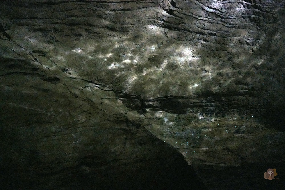 懷托摩洞穴看螢火蟲與鐘乳石洞-紐西蘭-魯阿庫利洞-RUAKURI-CAVE