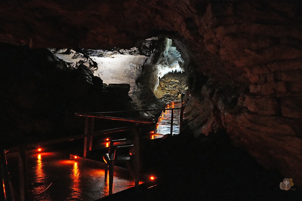 懷托摩洞穴看螢火蟲與鐘乳石洞-紐西蘭-魯阿庫利洞-RUAKURI-CAVE