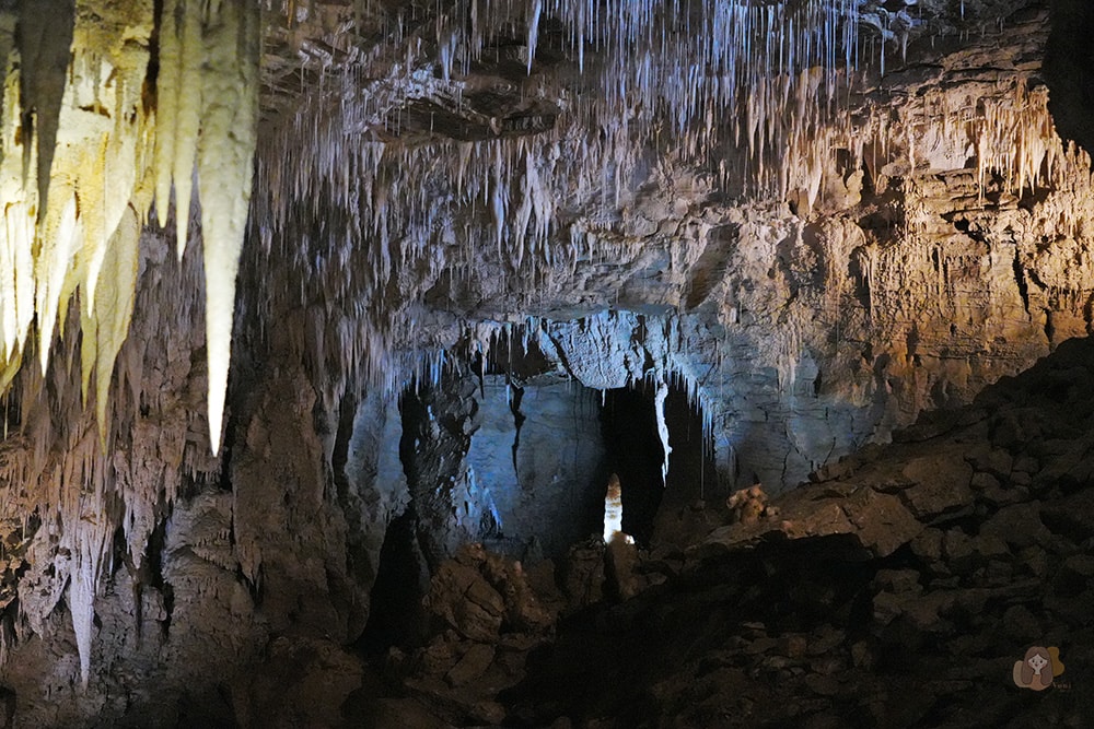 懷托摩洞穴看螢火蟲與鐘乳石洞-紐西蘭-魯阿庫利洞-RUAKURI-CAVE