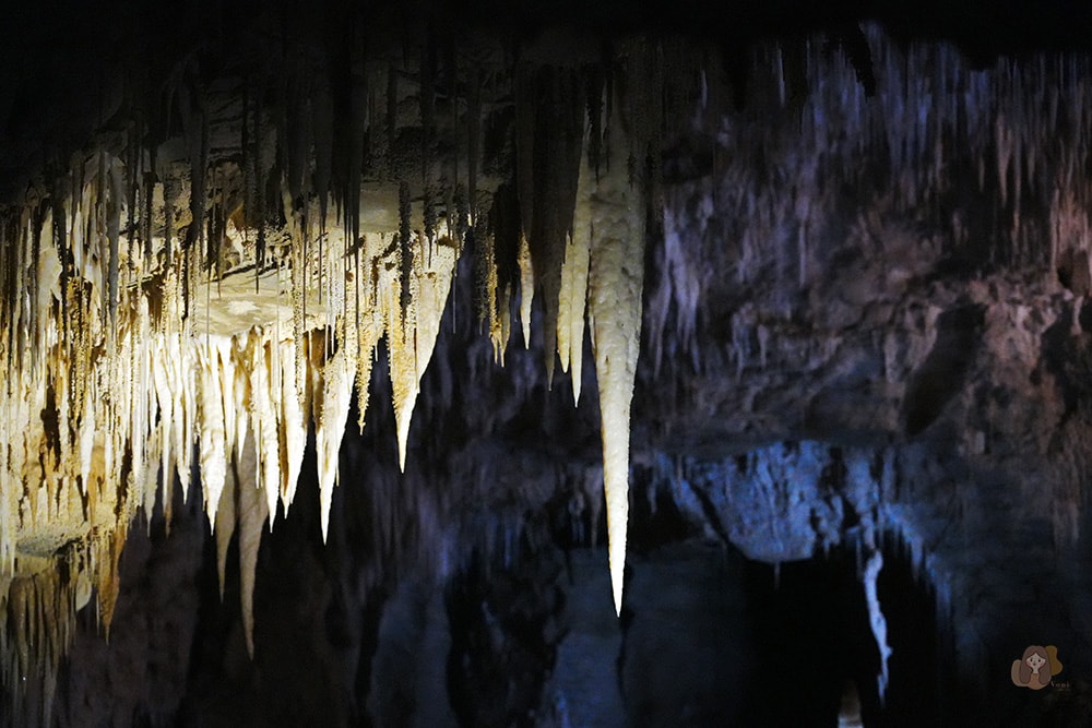 懷托摩洞穴看螢火蟲與鐘乳石洞-紐西蘭-魯阿庫利洞-RUAKURI-CAVE
