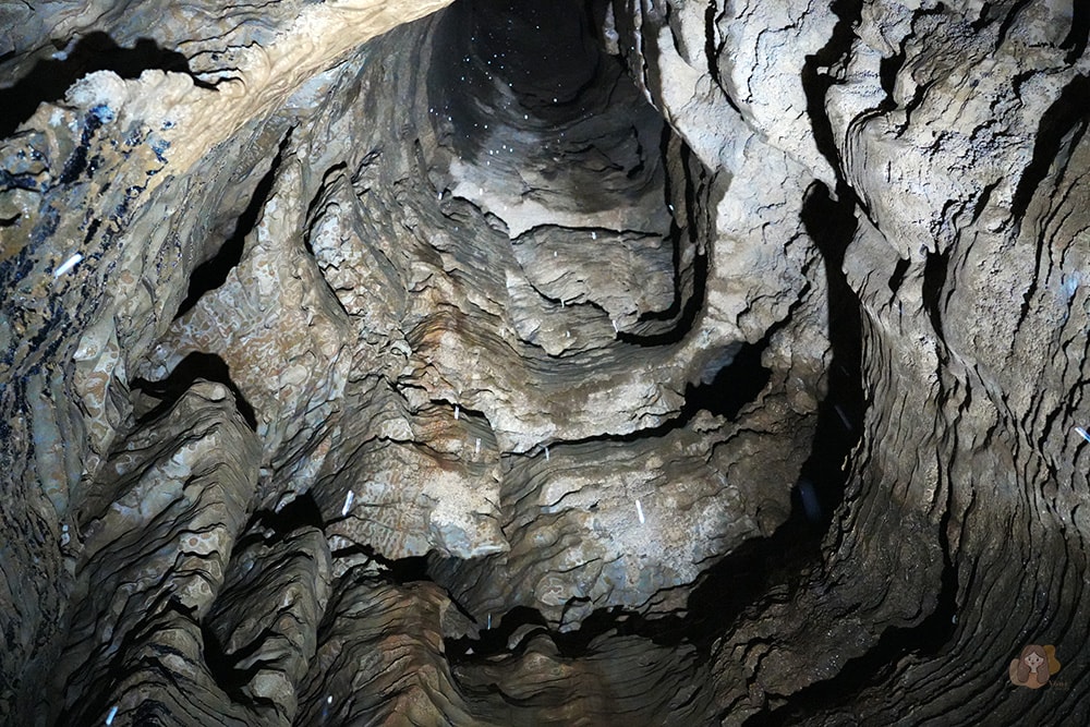 懷托摩洞穴看螢火蟲與鐘乳石洞-紐西蘭-魯阿庫利洞-RUAKURI-CAVE