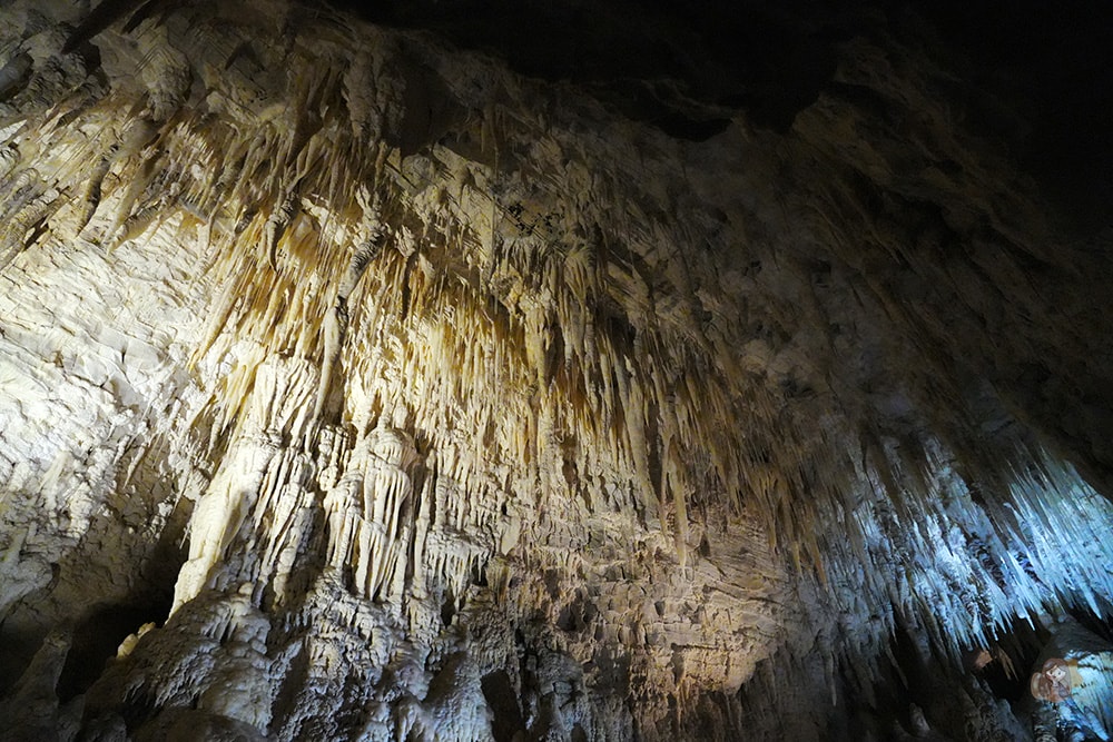 懷托摩洞穴看螢火蟲與鐘乳石洞-紐西蘭-魯阿庫利洞-RUAKURI-CAVE