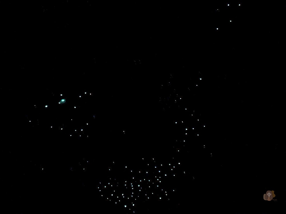 懷托摩洞穴看螢火蟲與鐘乳石洞-紐西蘭-魯阿庫利洞-RUAKURI-CAVE